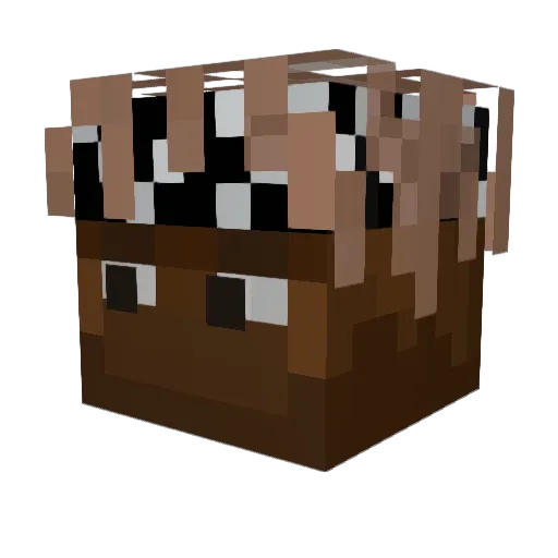 adamisi Minecraft avatar head, 3D render