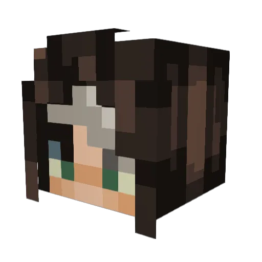 adamsfan Minecraft avatar head, 3D render