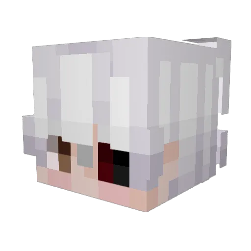 adapted_mercxzy Minecraft avatar head, 3D render