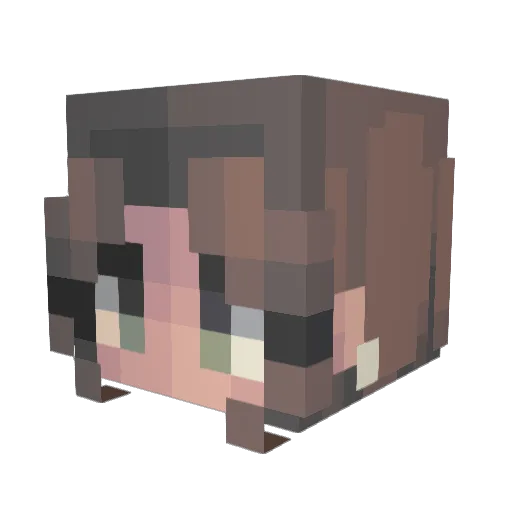 adawg13 Minecraft avatar head, 3D render