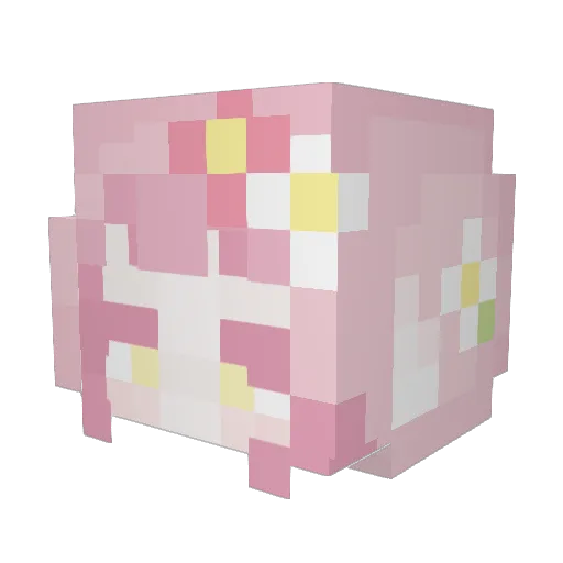 adawg206 Minecraft avatar head, 3D render