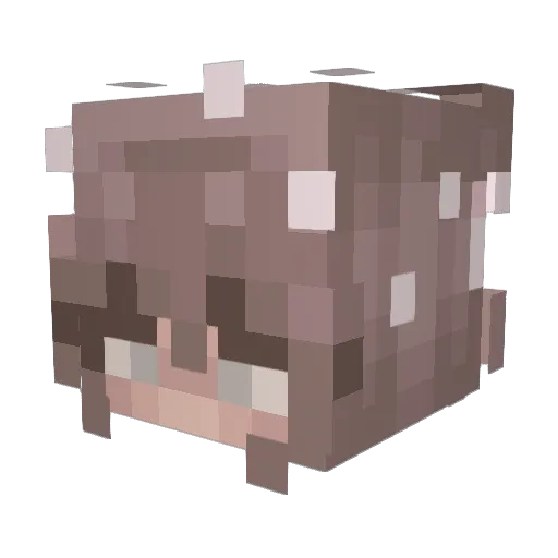 addibearxo Minecraft avatar head, 3D render