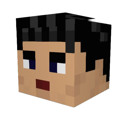 addigaui2005 Minecraft avatar head, 3D render