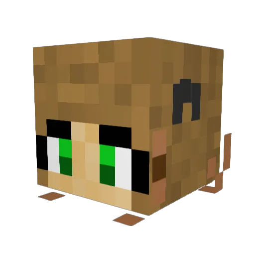 addisoncleveland Minecraft avatar head, 3D render