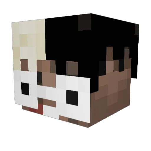 addleq Minecraft avatar head, 3D render