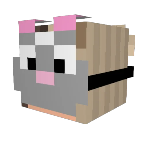 adeelinaa Minecraft avatar head, 3D render