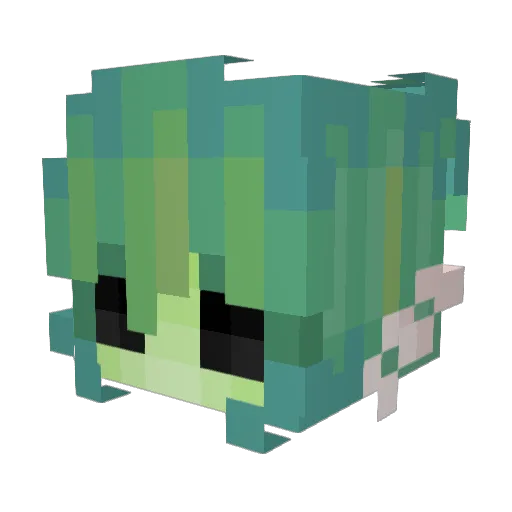 adela_ra1nbow Minecraft avatar head, 3D render