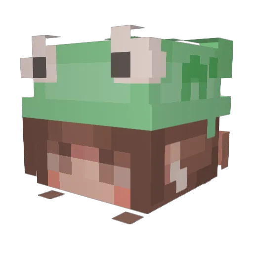 adelaideeloo Minecraft avatar head, 3D render