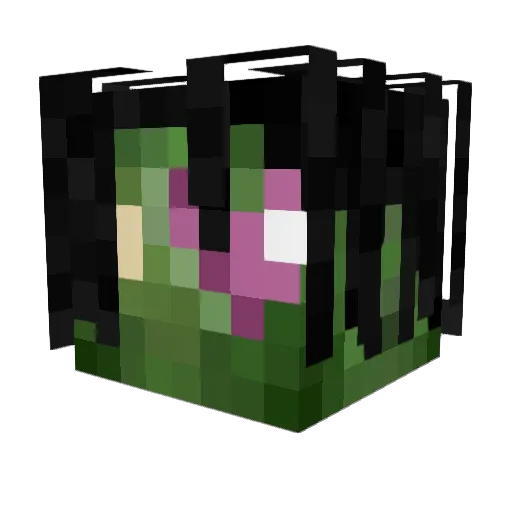 adent22 Minecraft avatar head, 3D render