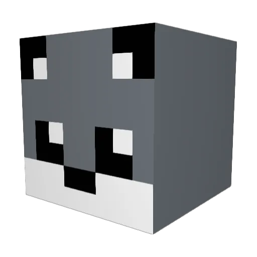 adi9009 Minecraft avatar head, 3D render