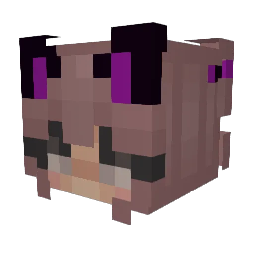 adi__ligma Minecraft avatar head, 3D render