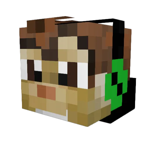 adi_random Minecraft avatar head, 3D render
