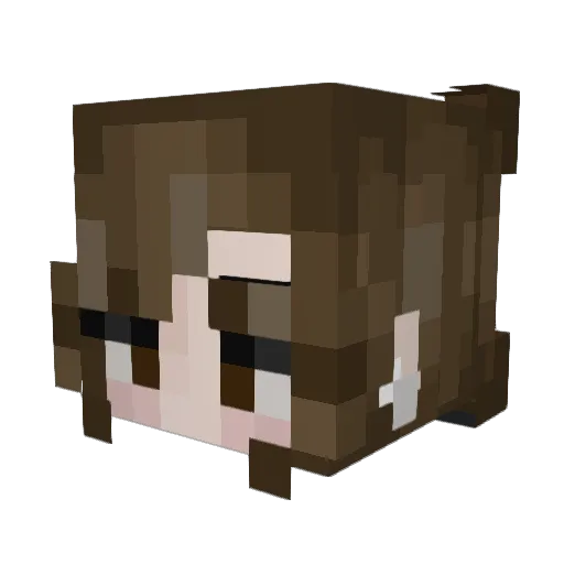 adibirb Minecraft avatar head, 3D render