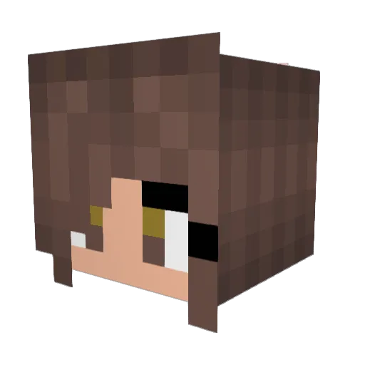 adimay2001 Minecraft avatar head, 3D render