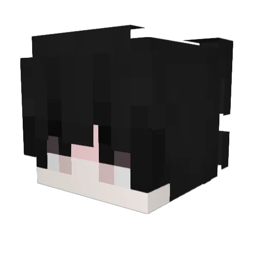 adiosloser Minecraft avatar head, 3D render