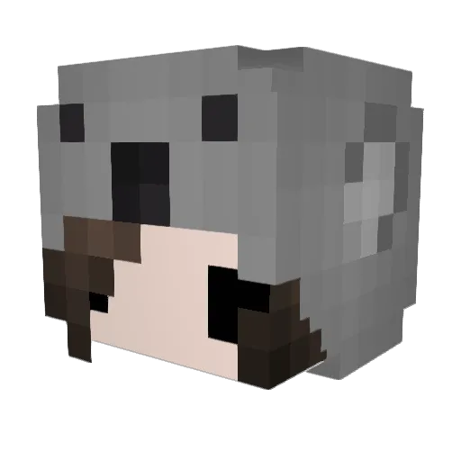 adisaa Minecraft avatar head, 3D render