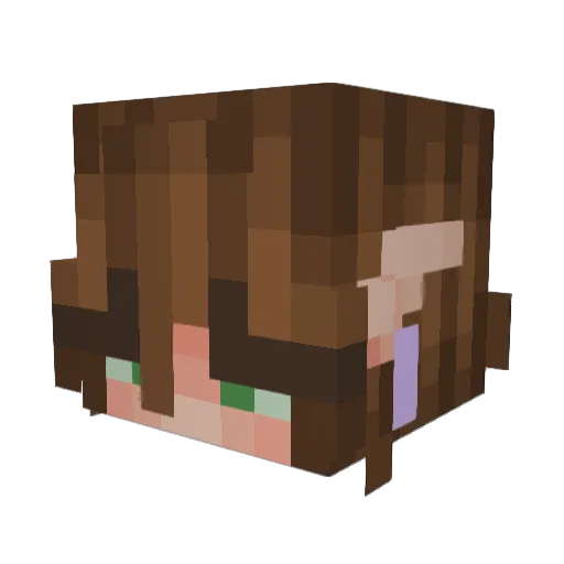 adisshu Minecraft avatar head, 3D render