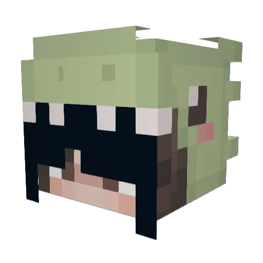 adit1tty Minecraft avatar head, 3D render