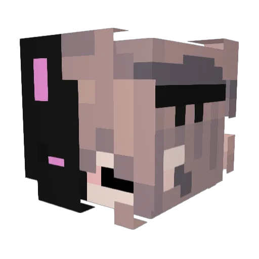 adonisgraham_ Minecraft avatar head, 3D render