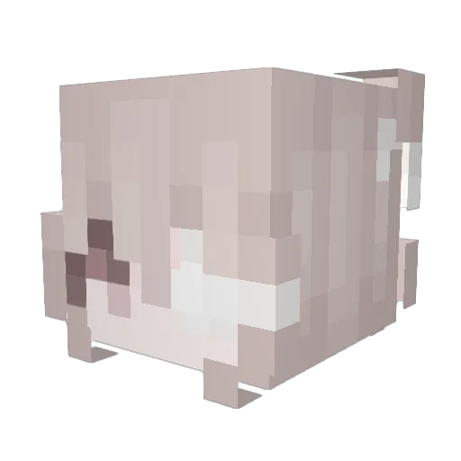 adore77 Minecraft avatar head, 3D render