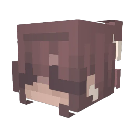 adorenicole Minecraft avatar head, 3D render