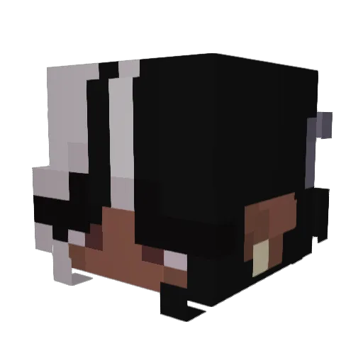adoreryah Minecraft avatar head, 3D render