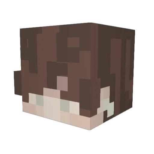 adotslay Minecraft avatar head, 3D render