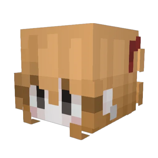 adouci Minecraft avatar head, 3D render