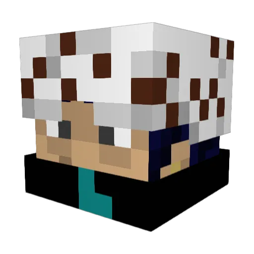 adrianwild Minecraft avatar head, 3D render