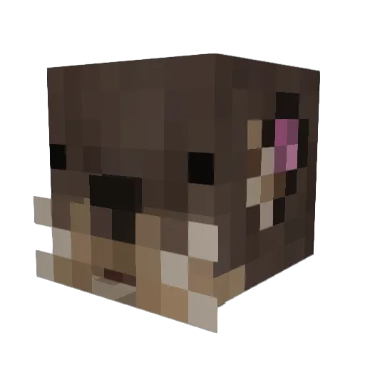 adrilol18 Minecraft avatar head, 3D render