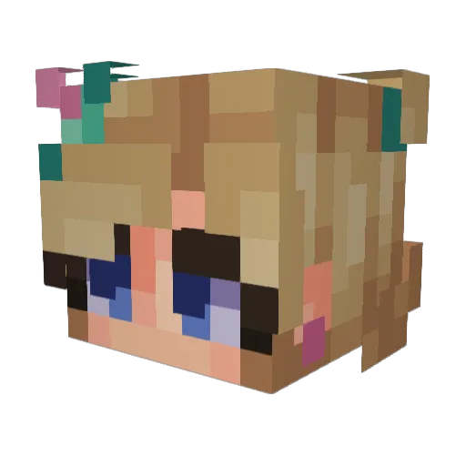 ads1138 Minecraft avatar head, 3D render