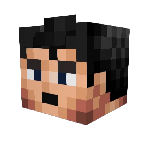adspro10 Minecraft avatar head, 3D render