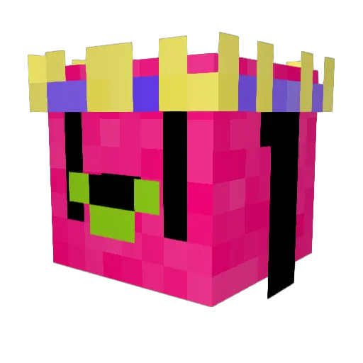 aduckkk Minecraft avatar head, 3D render