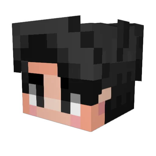 advanced_bear Minecraft avatar head, 3D render