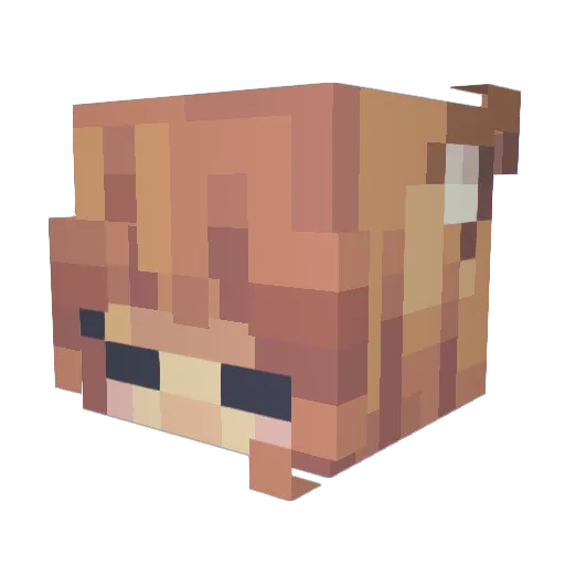 adventureMC10 Minecraft avatar head, 3D render