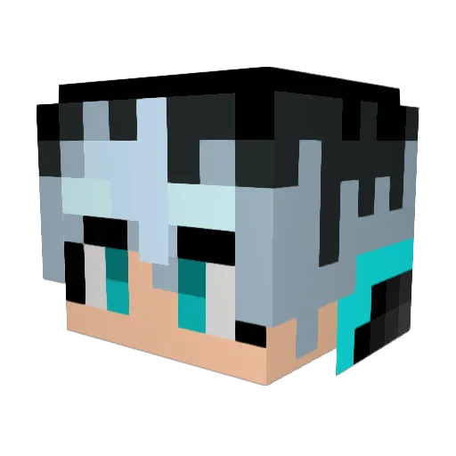 advnex Minecraft avatar head, 3D render