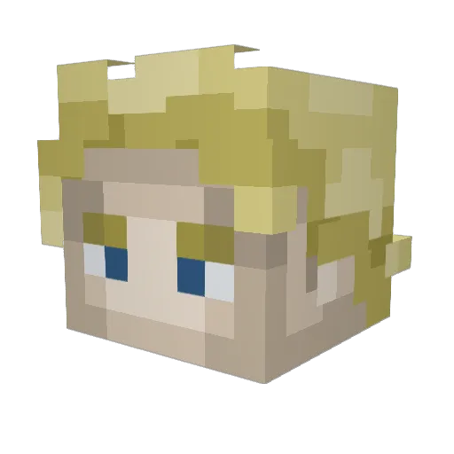 advygotpacked Minecraft avatar head, 3D render