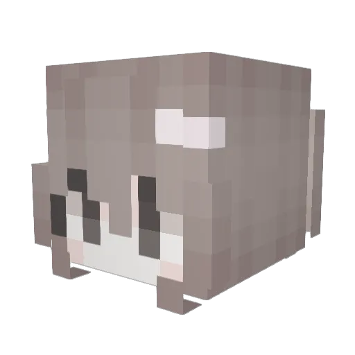 adwmire Minecraft avatar head, 3D render
