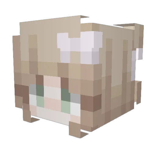 adwoominecraft Minecraft avatar head, 3D render