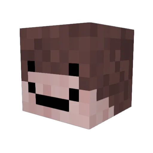 adwtd Minecraft avatar head, 3D render