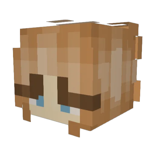 ady6206 Minecraft avatar head, 3D render