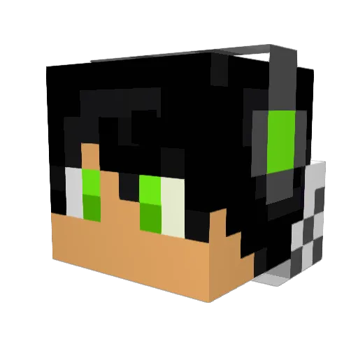 aeRo_ Minecraft avatar head, 3D render