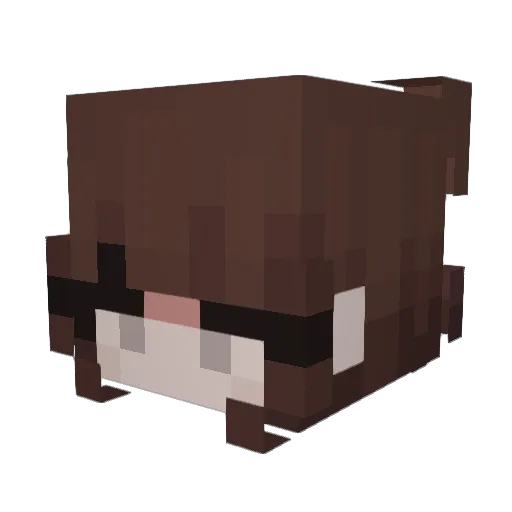 aech9072 Minecraft avatar head, 3D render