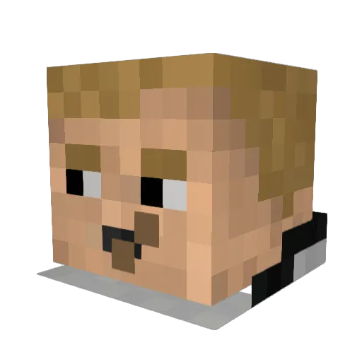 aecsocket Minecraft avatar head, 3D render