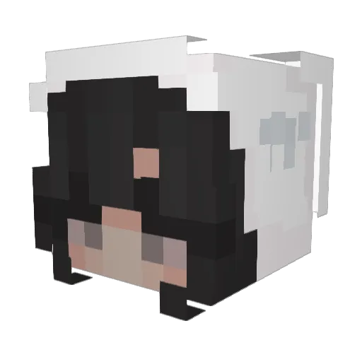 aeertz Minecraft avatar head, 3D render