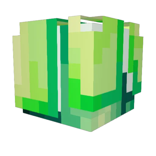 aeh_timeal Minecraft avatar head, 3D render