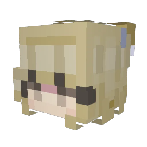 aeinyue Minecraft avatar head, 3D render