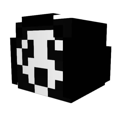 aej Minecraft avatar head, 3D render