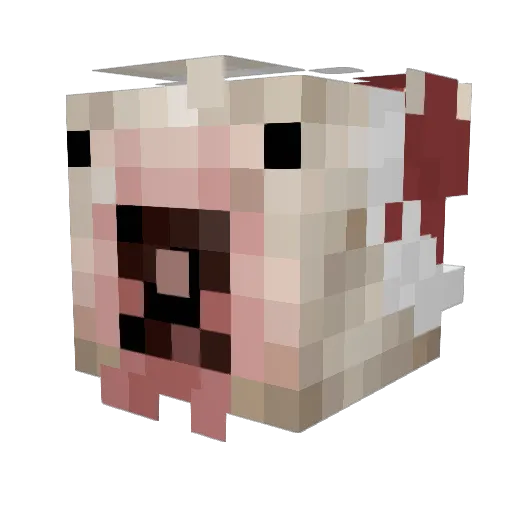 aejp Minecraft avatar head, 3D render