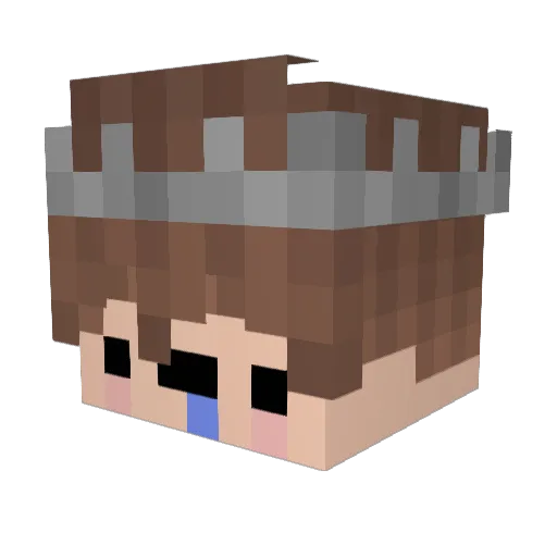 aeking Minecraft avatar head, 3D render
